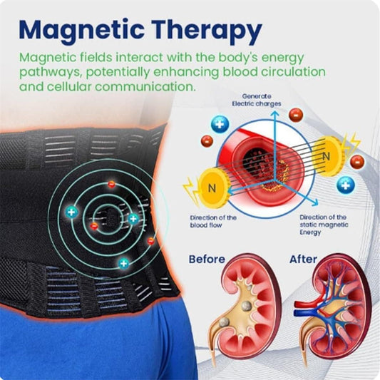 Acupressure Kidney Care Belt with Self-Heating Magnetic Therapy – Adjustable Lumbar Support