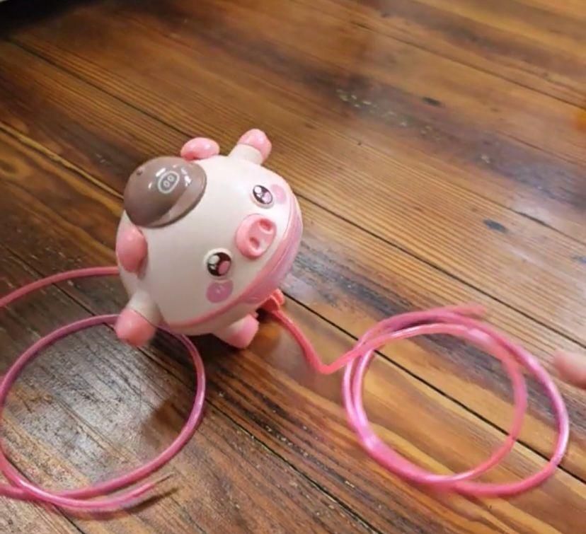 Tightrope Walking Pig Toy – Balancing Tumbler Fun for Kids